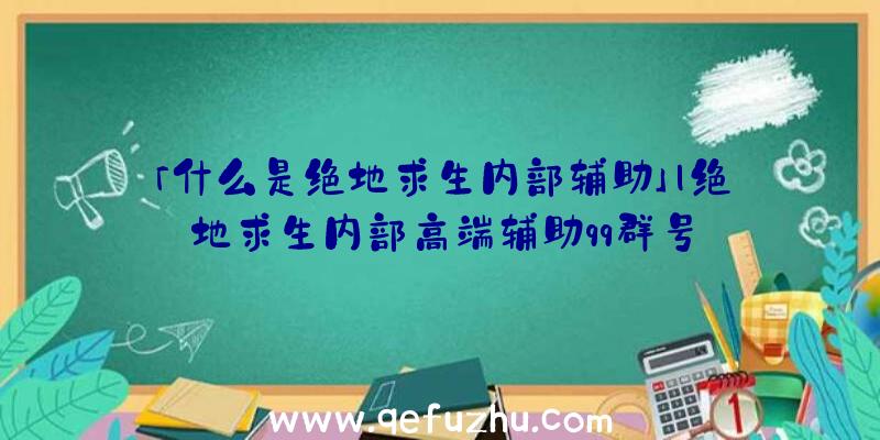 「什么是绝地求生内部辅助」|绝地求生内部高端辅助qq群号